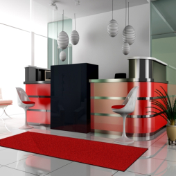 tapis d'entrée unicouleur imprimé sur mesure / tapis antisalissure coordonné à votre décoration