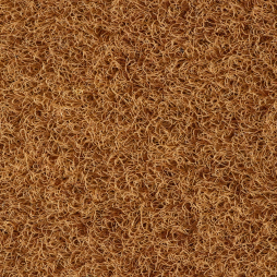 V10 Caramel (couleur coco)