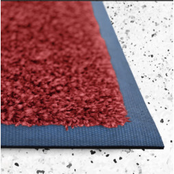tapis d'entrée unicouleur / tapis antisalissure coordonné à votre décoration