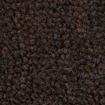 Dark Brown %28.79