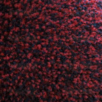Red Black