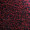 Red Black