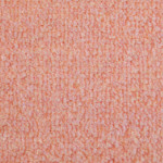 C54 Salmon